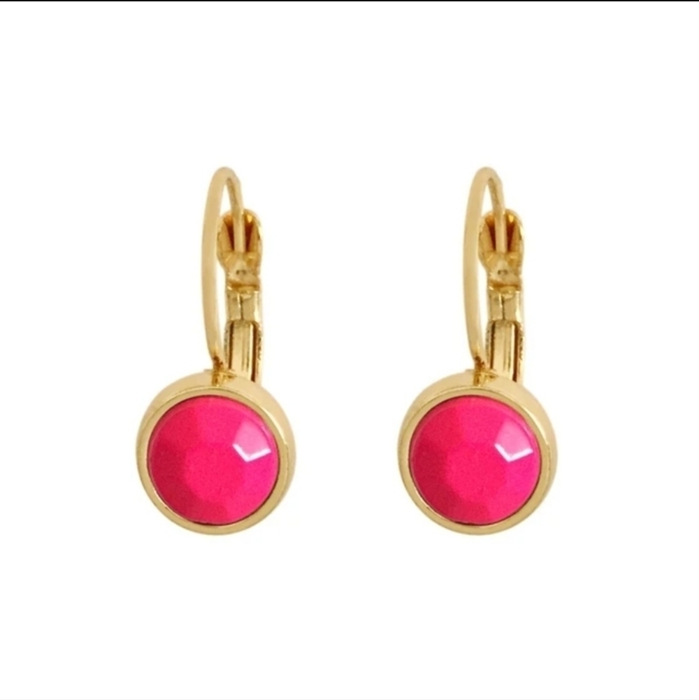 New Minimalist Gold Color Small Circle Hoop Earrings Solid Acrylic Drop